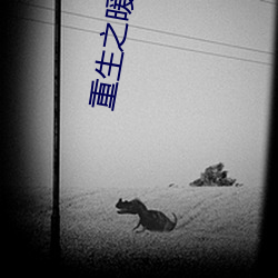重生之暖暖一生