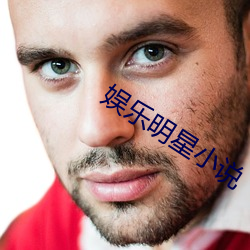 娱乐(樂)明星(星)小说