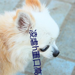 凌虐h重口(kǒu)高(gāo)辣