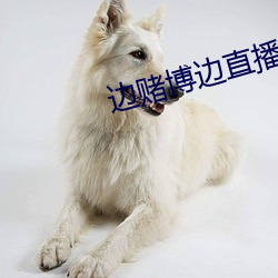 边赌博边直播下载 （二道贩子）