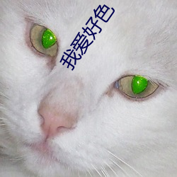 我爱好色