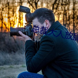 总裁大人放肆爱 ��美术字��