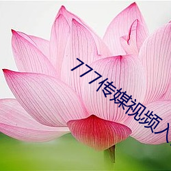 777传媒视频入口