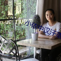 小依中汉汗蒸