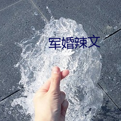 军(軍)婚(婚)辣文