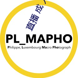 直播 成 人 刷跑车