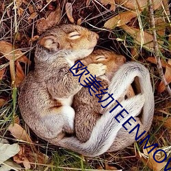 suncitygroup太阳集团--官方网站
