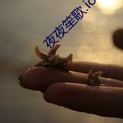 夜夜笙歌.ios