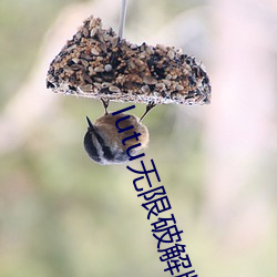 918博天堂·(中国)手机版客户端