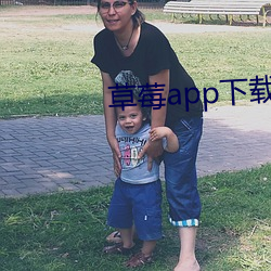 草莓app下載最新下載網址