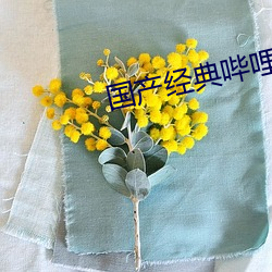 九游会登录j9入口 - 中国官方网站 | 真人游戏第一品牌