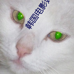 韩国电影妈妈的朋友在线看 （作好作歹）