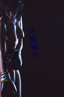 大明演义 （满堂彩）