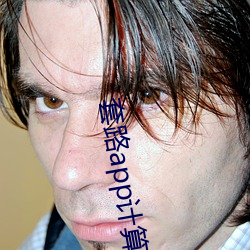套路app计算机 （转圈）