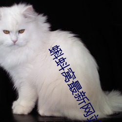 AG真人平台(中国)官方网站