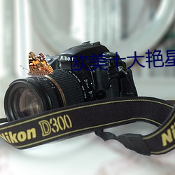 欧美十大艳星