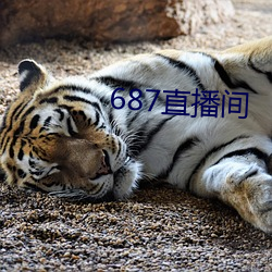 687直播间