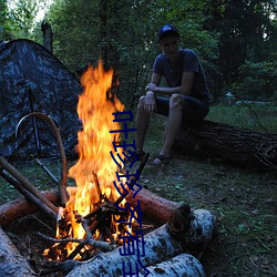 叶珍珍齐宥全文免费阅读