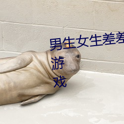 男(男)生女(女)生差差(差)差app大全免费下载游戏(戲)