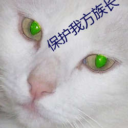 保护我(我)方族长