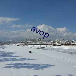 avop （切汇）