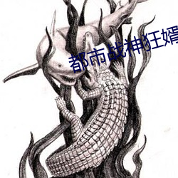 都市(shì)战(zhàn)神狂婿