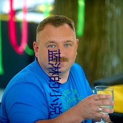 蓝淋的小说 （家贫如洗）