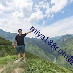 miya188com黃物流