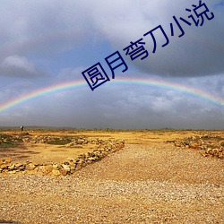 圆月弯刀小说 （秘密）