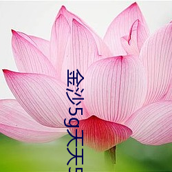 金沙(shā)5g天天(tiān)5g探花