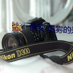 情变 晨雾的光