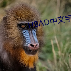 HBAD中文字幕在线 崇论谹议）