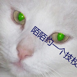 陌(mò)陌约(yu)一个技校女生(shēng)