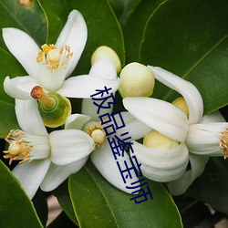 尊龙凯时人生就是搏(中国区)官方网站