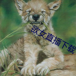 欲女直播下载