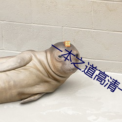 一本之道高清一區dx