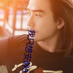 我只(只)想安静的打游戏