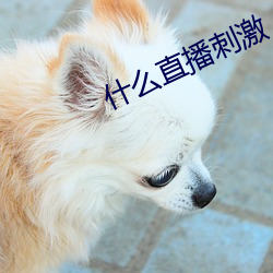 什麽直播刺激