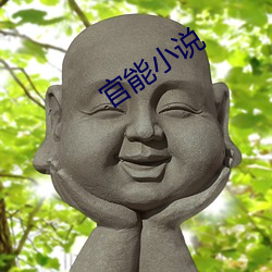 官能小说