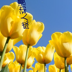 成人动漫卡通