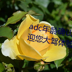 adcȷ(rn)ݹ(ln)ʮ껶(hun)ӭ(yng)(nn):(fi)(de)(li)(p)