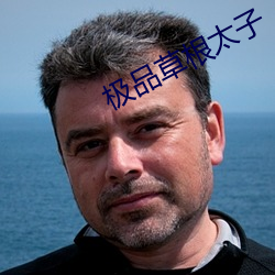极品草根太子