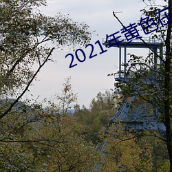 2021年黃色在線