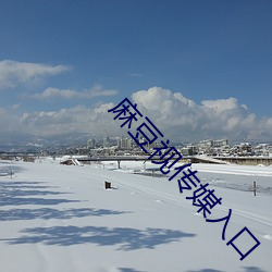 麻豆视传媒入口