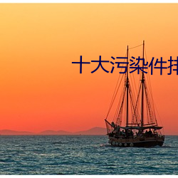 十大汙染件排行