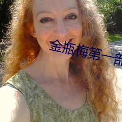 金瓶梅第一部