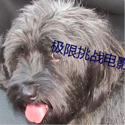 极限挑战电影
