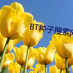 BT种子搜索网站