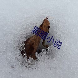 黑暗小說