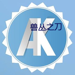 ca88手机客户端(安卓/苹果)CA88会员登录入口